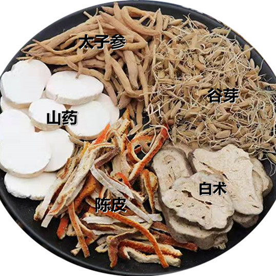 中药经典方 健脾养胃汤 中药材白术陈皮山药太子参谷芽