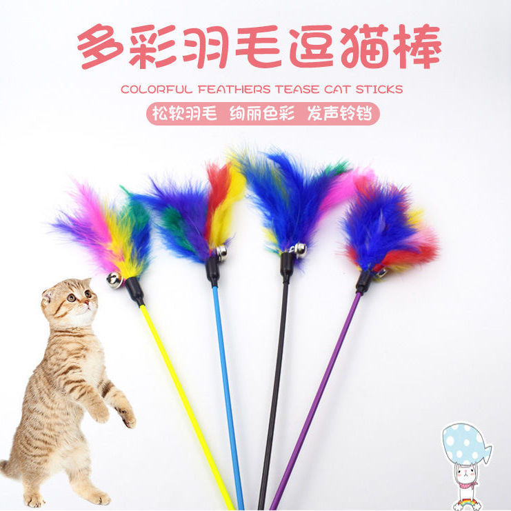 猫咪玩具逗猫棒套装逗猫玩具	猫玩具套装自嗨小猫宠物玩具带铃铛