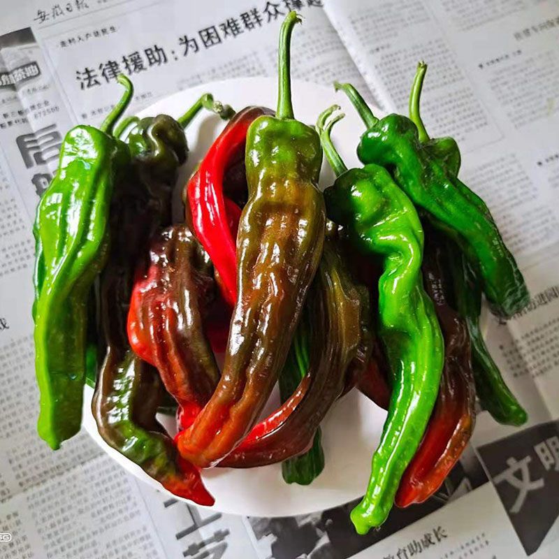 农家自种枣庄新鲜薄皮辣椒特辣超辣蔬菜土辣椒皱皮辣椒螺丝椒 图片 6