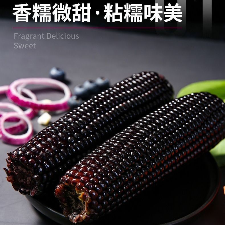 88825-东北黑玉米新鲜甜糯非转基因真空包装自热速食黑黏苞米棒整箱批发-详情图
