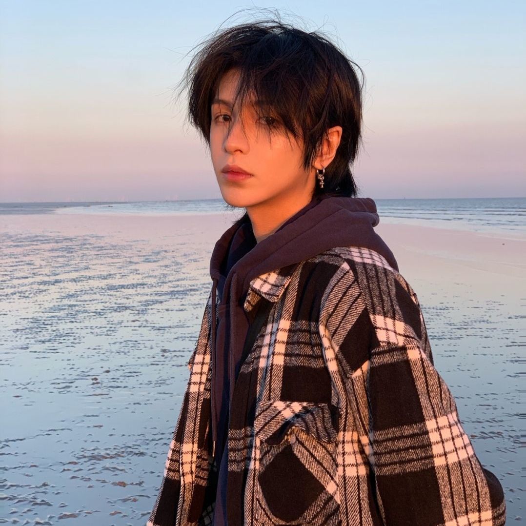 鲻鱼头假发男狼尾韩版帅气短发女生日系假毛通用拍照男士假发头套 虎窝拼