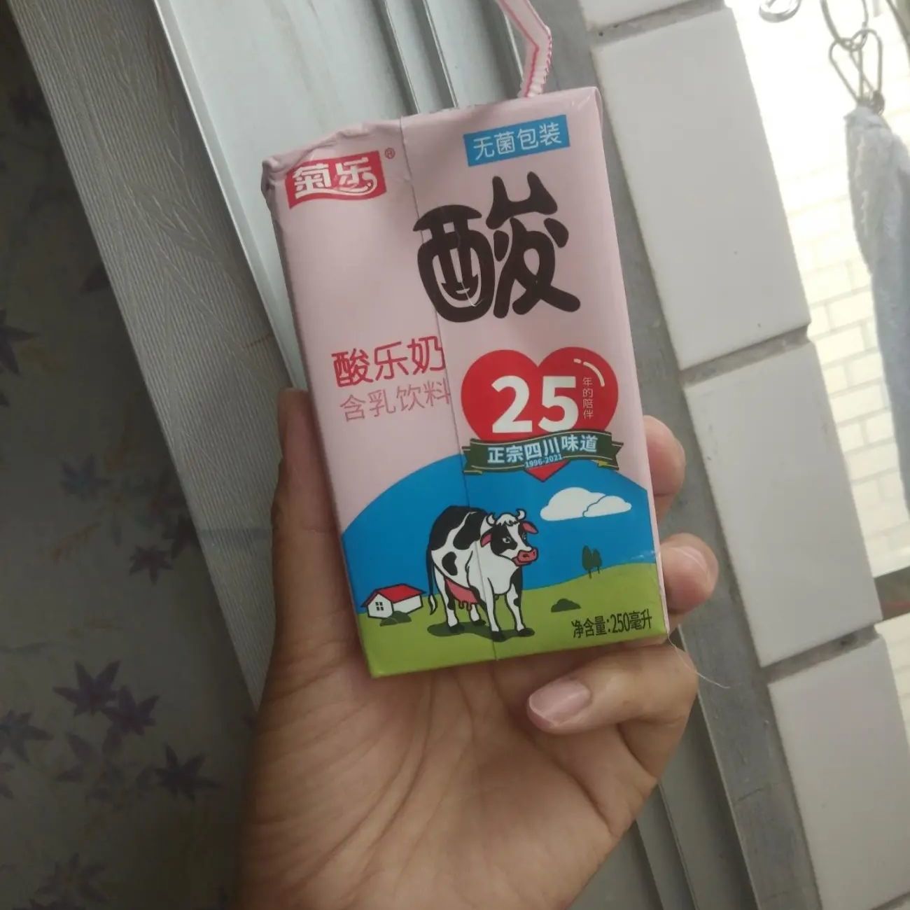 菊乐【官方正品】酸乐奶早餐牛奶发250ml*24盒装乳酸菌饮料