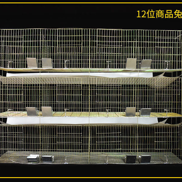 兔笼特大号6位12位 24位免清粪兔子笼养殖笼兔舍三层母兔繁殖笼子