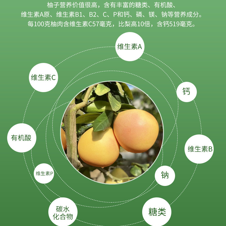 沙田柚营养成分图片
