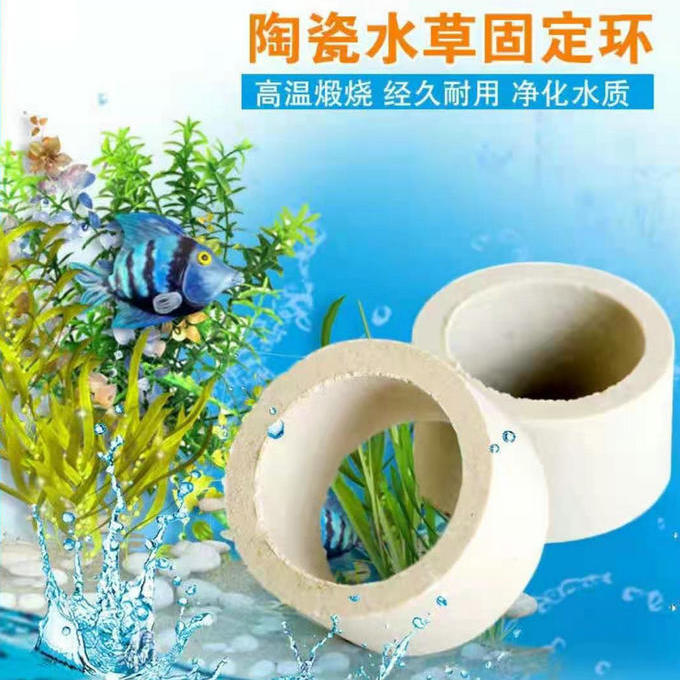 水草定植陶瓷环水草固定器底座下沉杯小绿植鱼缸水族箱造景设备 4月17日发完 虎窝拼