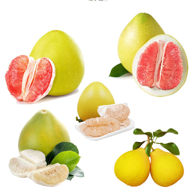 正宗琯溪蜜柚应季新鲜当季水果大果三红柚白心柚红心柚子整箱包邮