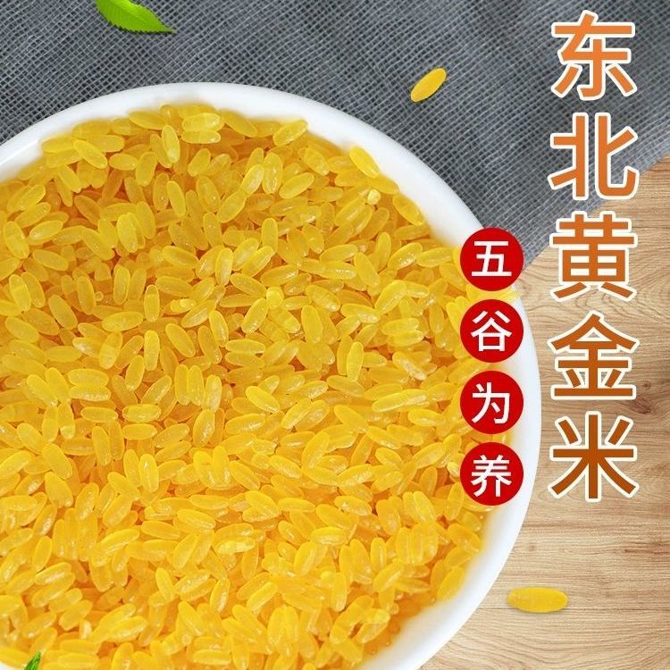 黄金米低脂肪健康米八宝粥辅料玉米米