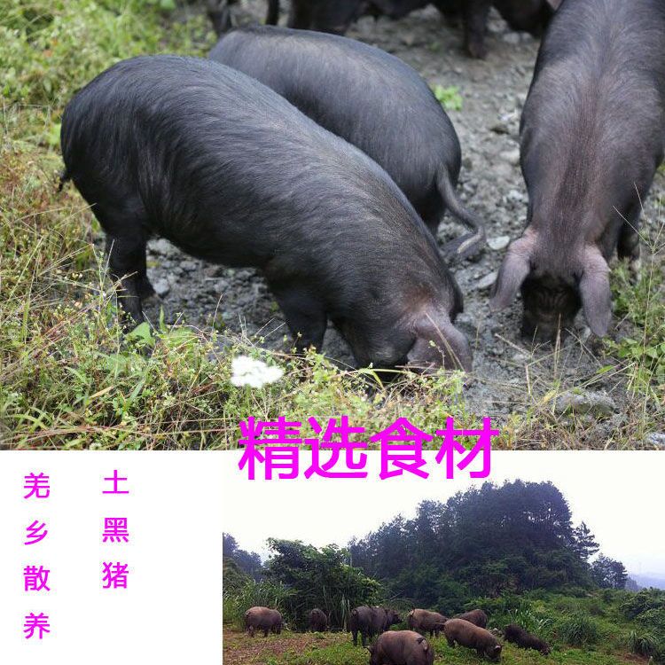 四川特产正宗北川老腊肉黑猪粮食土猪肉农家自制柴火烟熏腊肉500