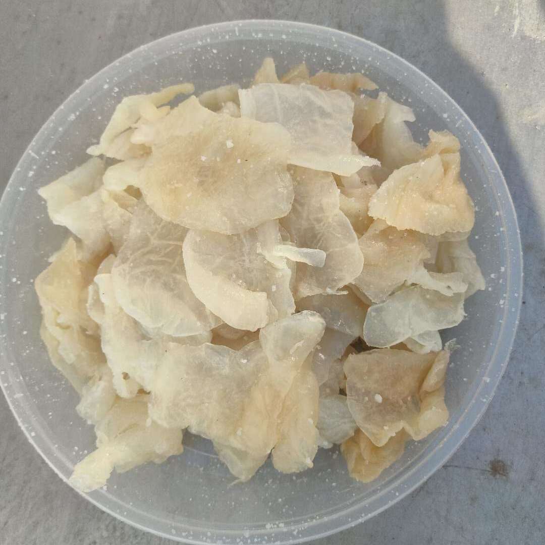 盐腌海蜇丝皮子海蜇野生海蜇皮提干皮1斤包邮直销批发零售腌制