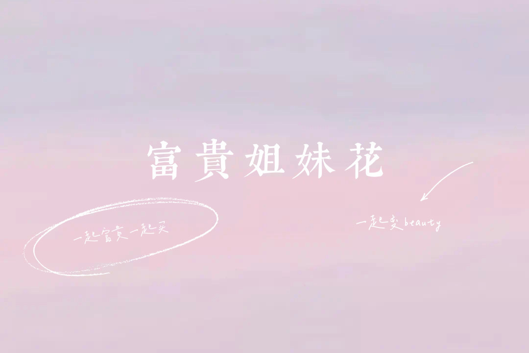 富贵姐妹花 的封面