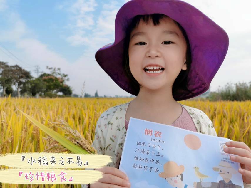 机灵妈用心团优品 的封面