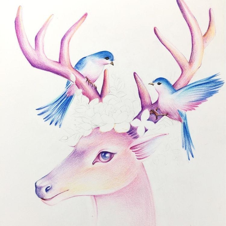 深林鹿🦌安安anan订阅进群不迷路 头像