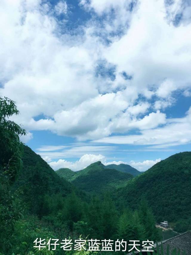 华仔【订阅我，有惊喜喔！】 介绍图