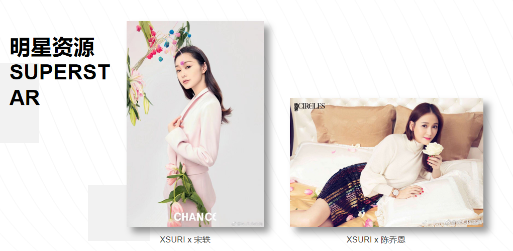 爱苏瑞～能力之内、只要最好！ 介绍图
