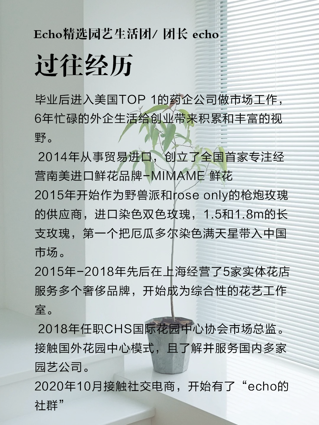 🌟Echo园艺生活优选·🌟进群好礼 介绍图