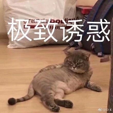 🌻热心小市民✨订阅领红包～ 介绍图