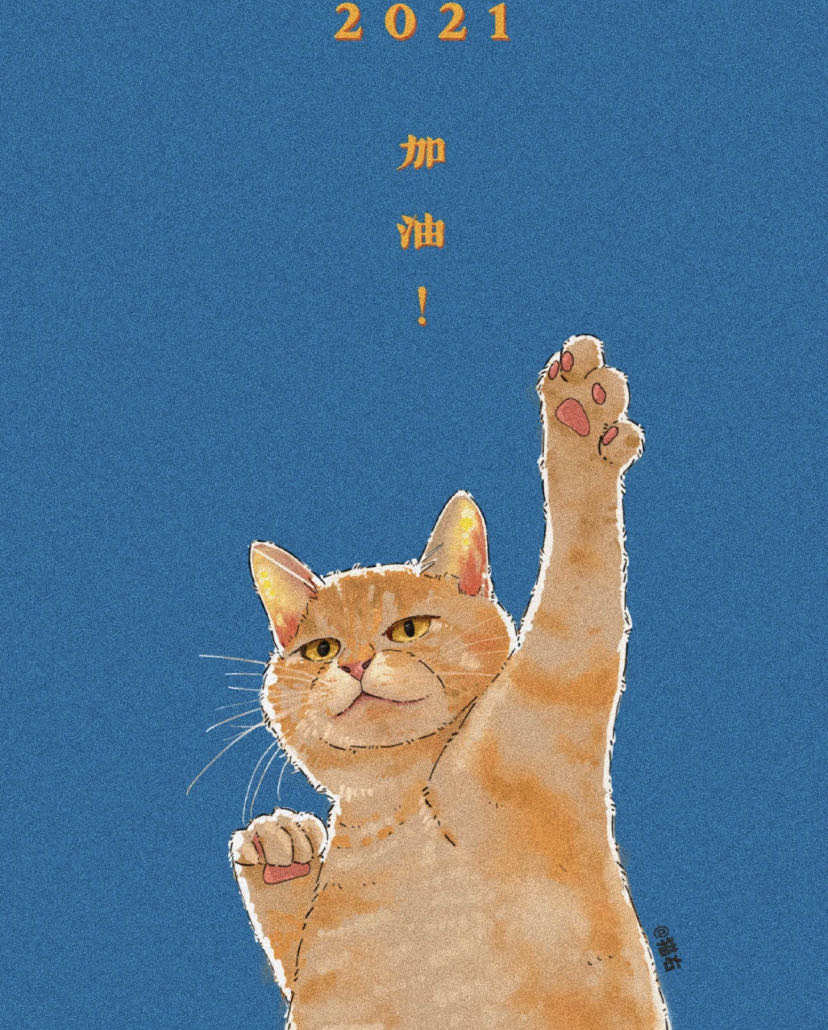 洛可可FREEDOM 的封面