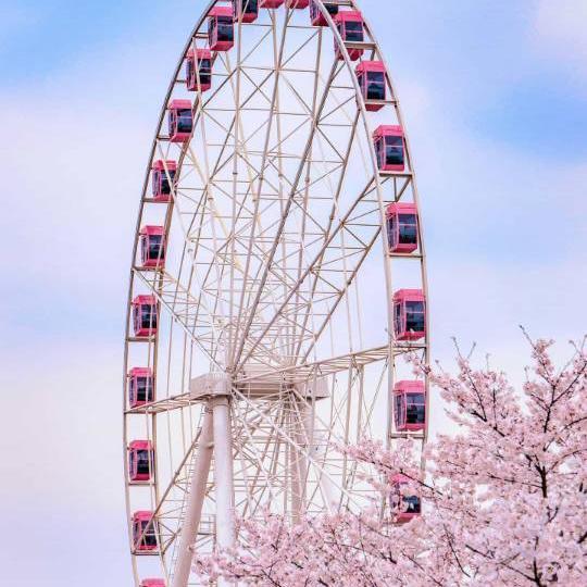 多妈团(团长进群订单翻倍) 头像