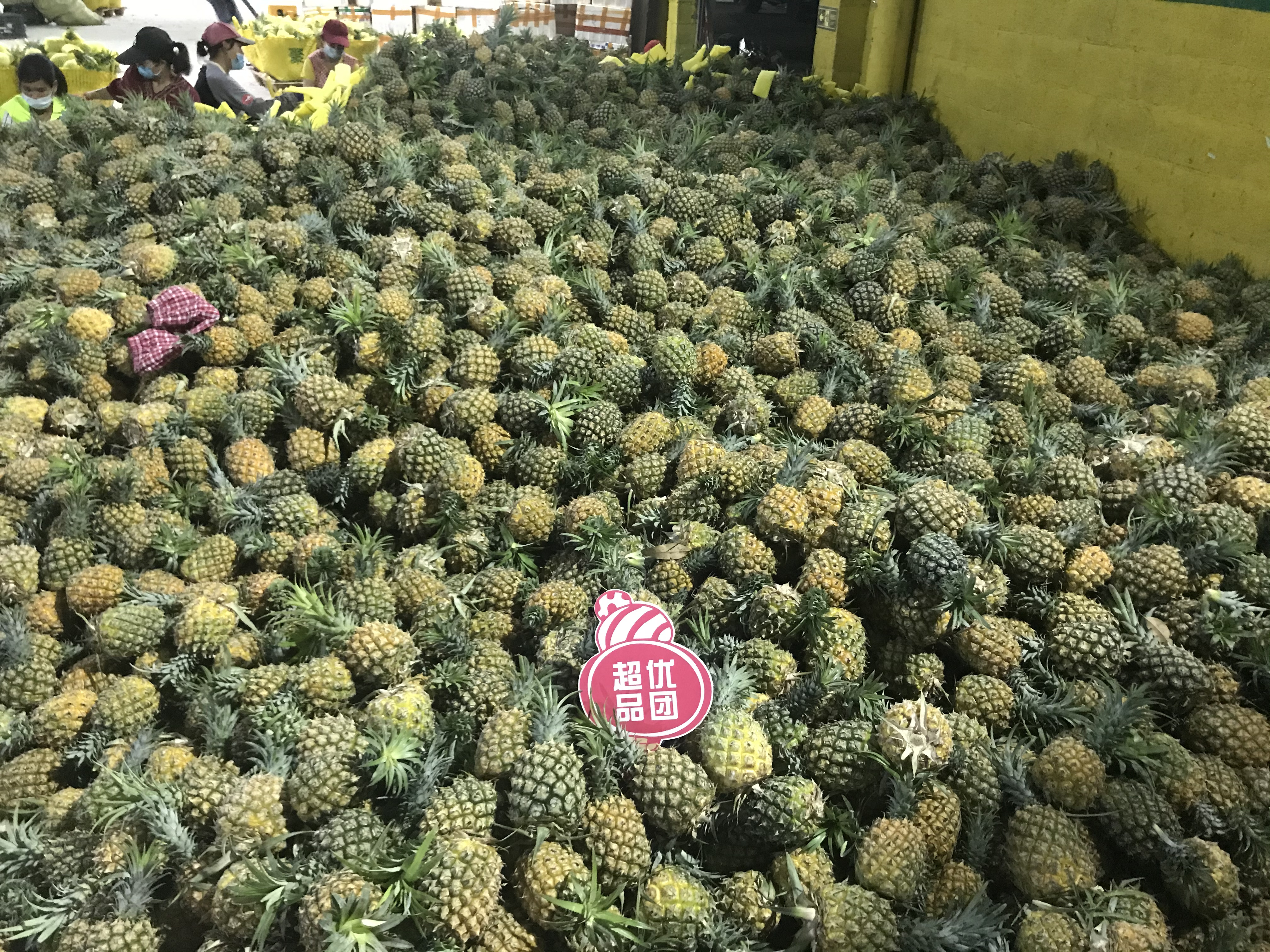 琪琪超优品团ddmkj_1送运险 介绍图