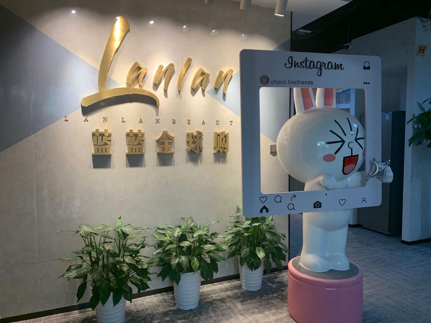 蓝蓝优选团（订阅有🧧） 介绍图