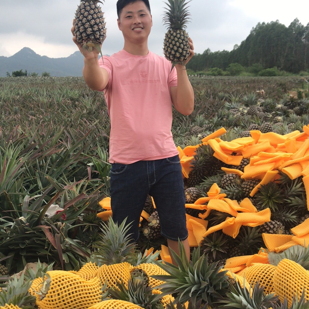 疯狂的石头【订阅我的都幸福了】 头像