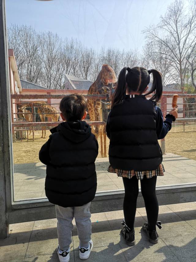 郑州糖果妈妈（认准头像） 介绍图
