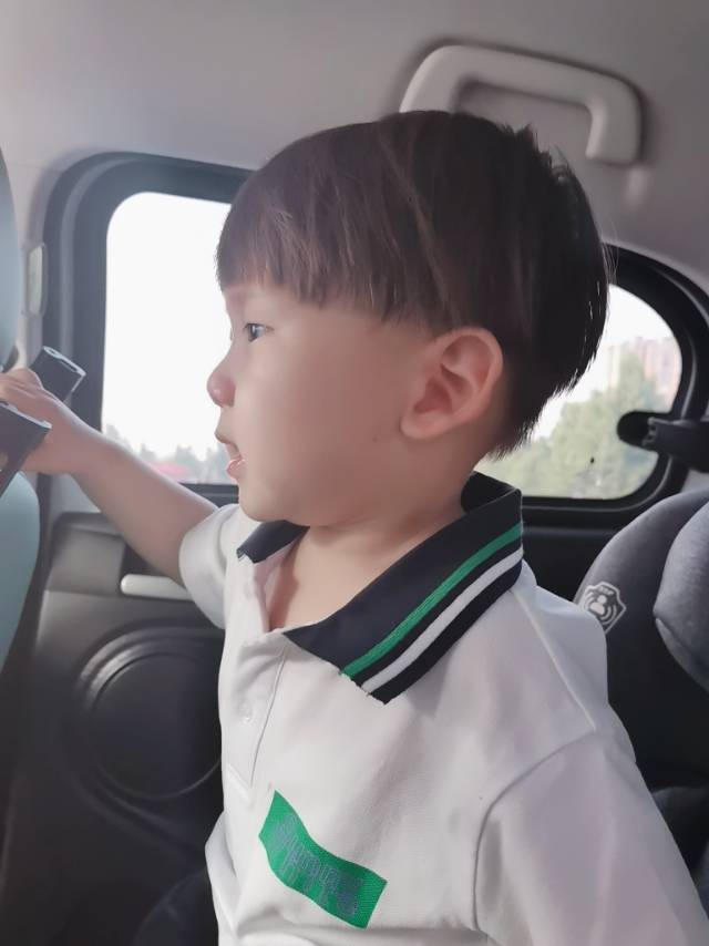大圣麻麻 介绍图