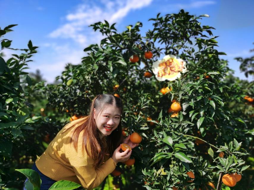 朱朱心选（进群超多活动） 介绍图