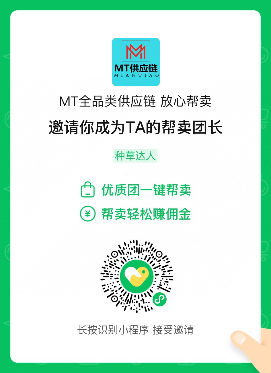 MT严选 🥇金牌服务 介绍图