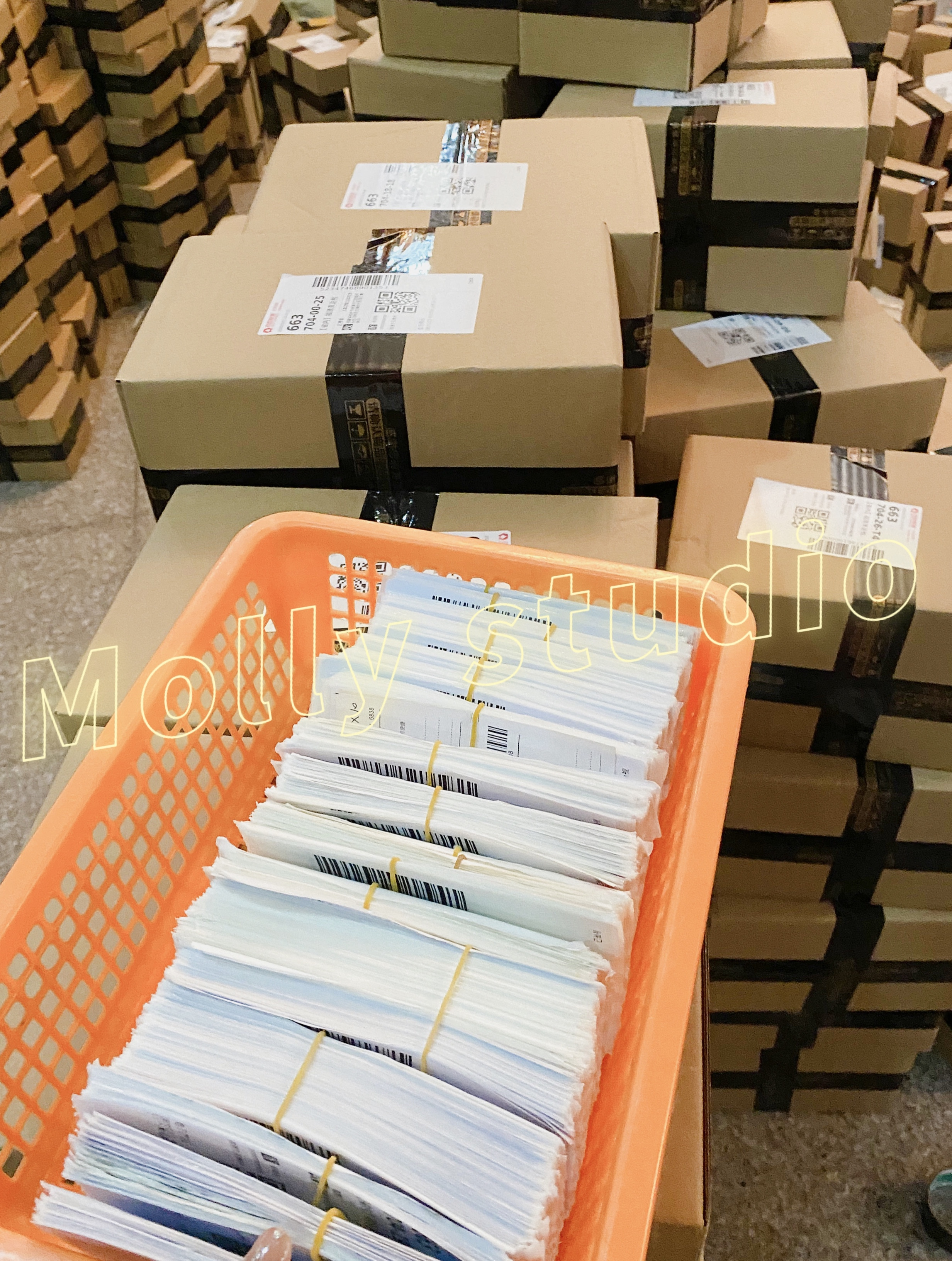 molly主号🛒认准头像购物 介绍图