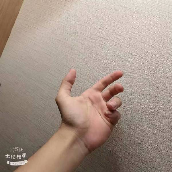 杨罩罩实拍团 头像