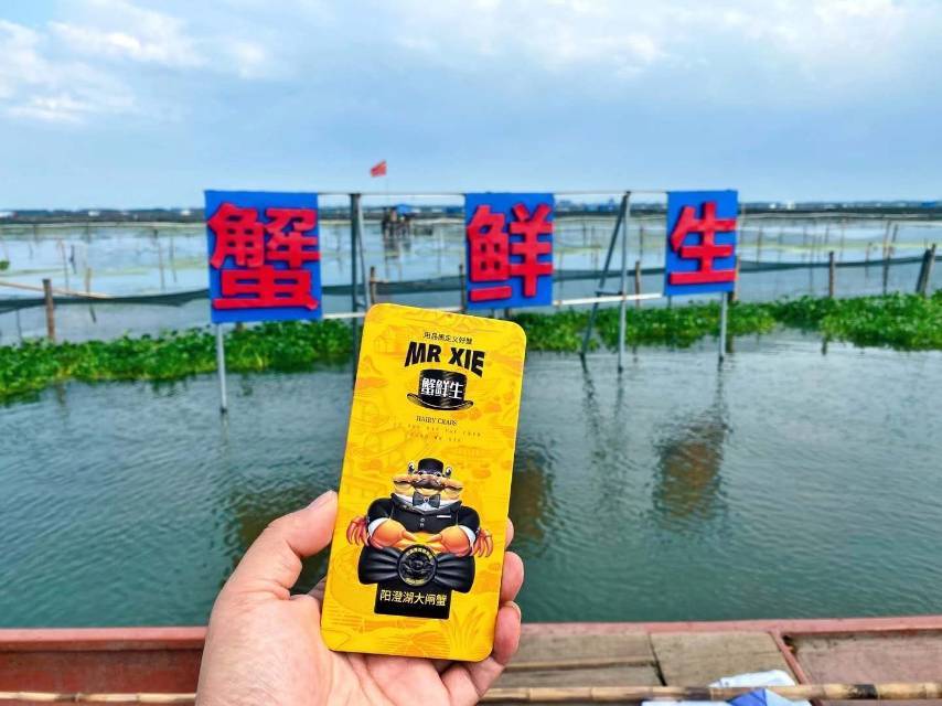 杨掌柜（蟹鲜生Ⓡ阳澄湖大闸蟹⑭年） 的封面