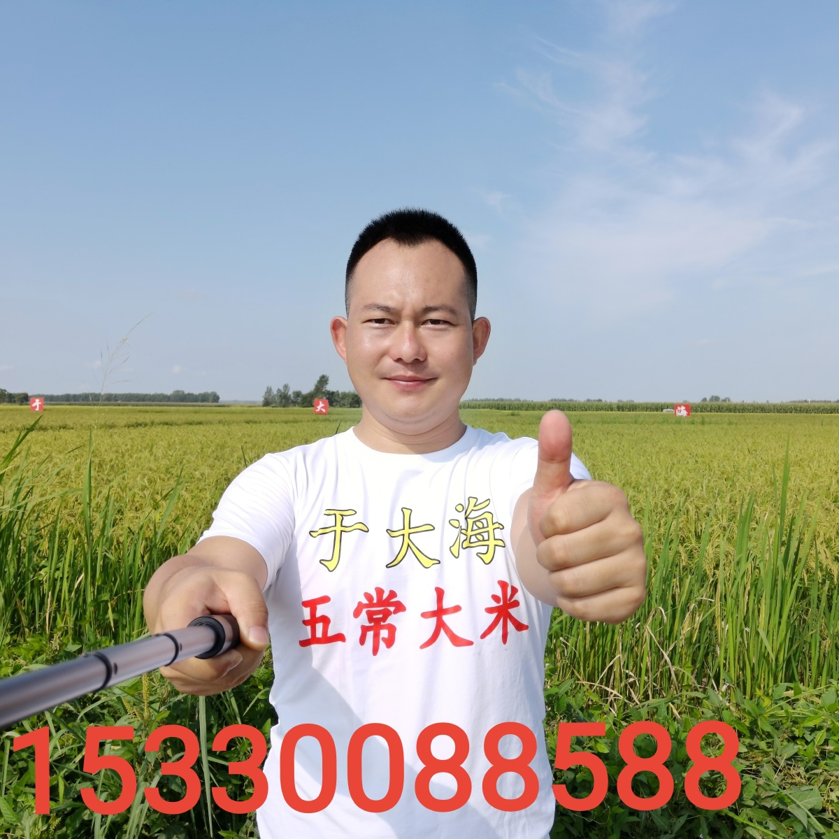 于小美五常大米 的封面
