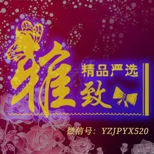 雅致精品严选 订阅领🧧 头像