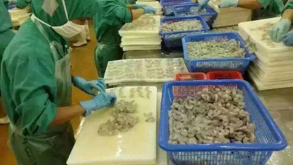 拾亩吃货研究所（订阅我哟） 介绍图