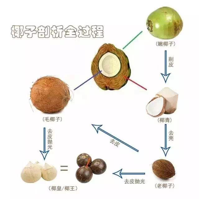 舌尖上的热带密语：一颗奶香椰皇的前世今生