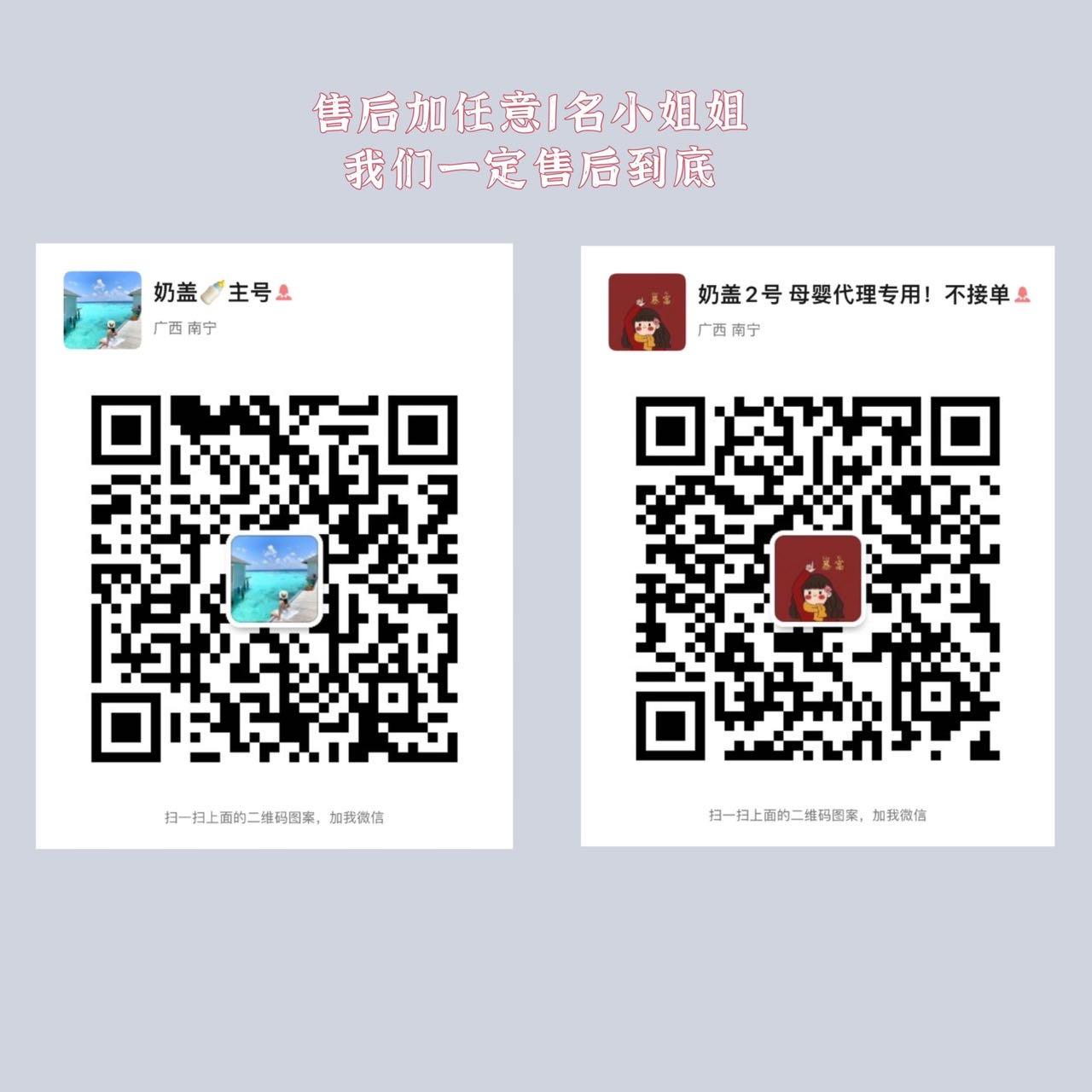 奶盖团购（高品低价） 介绍图