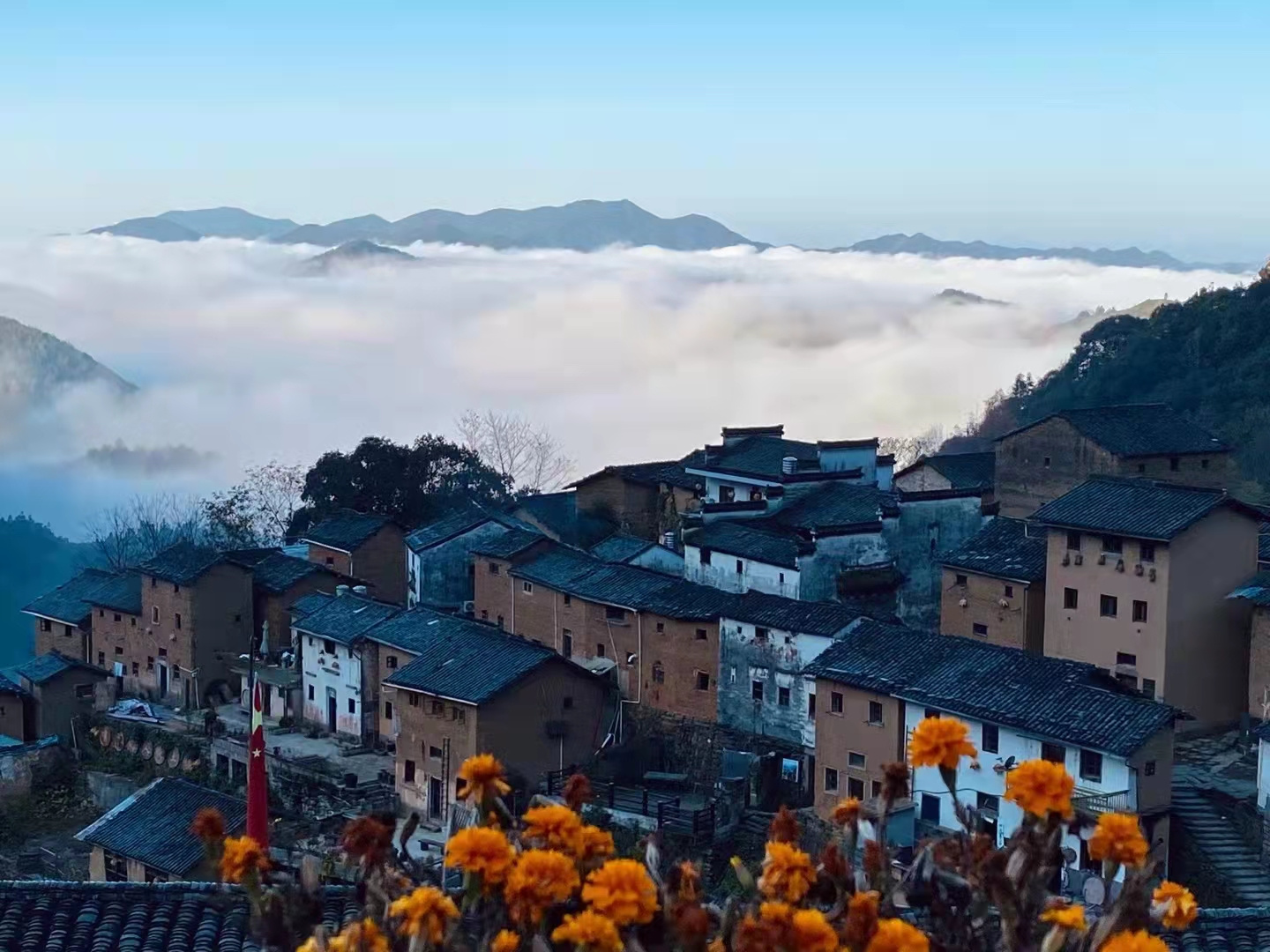 恩雅优选（订阅领红包 ） 的封面