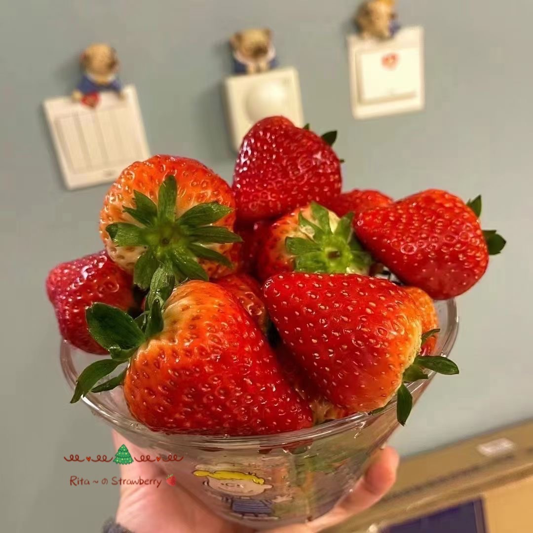 享食薈Rita 认准头像 的封面