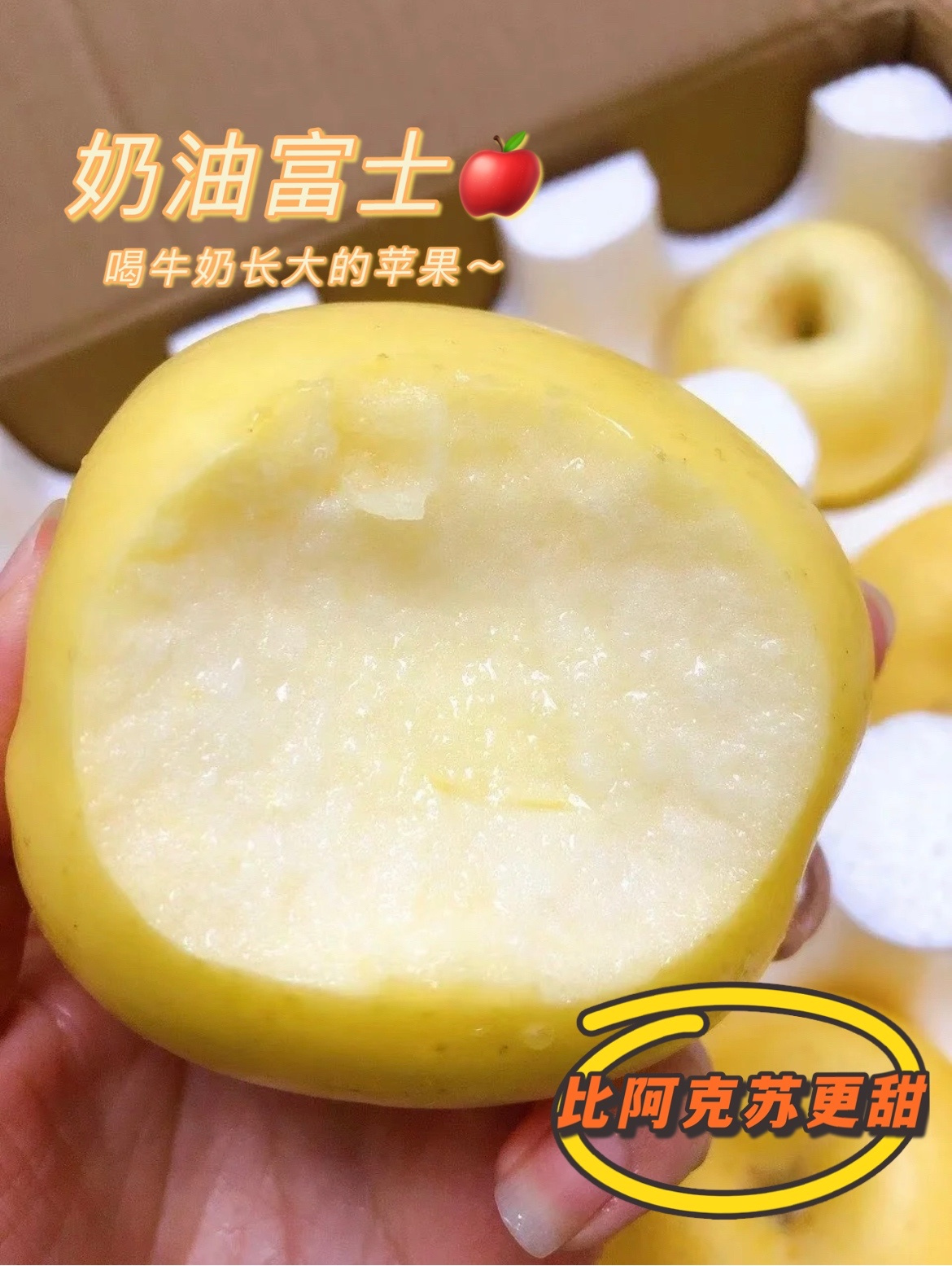 🍎喝牛奶长大的苹果黄金奶油富士苹果